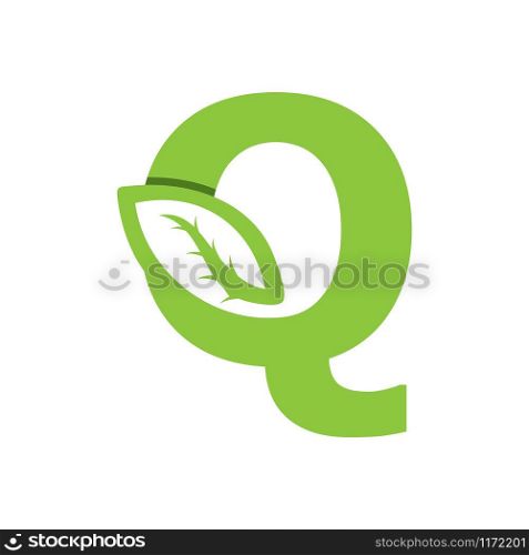 Q Letter logo leaf concept template design