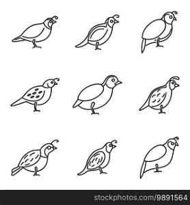 Quail bird icons set. Outline set of quail bird vector icons for web design isolated on white background. Quail bird icons set, outline style