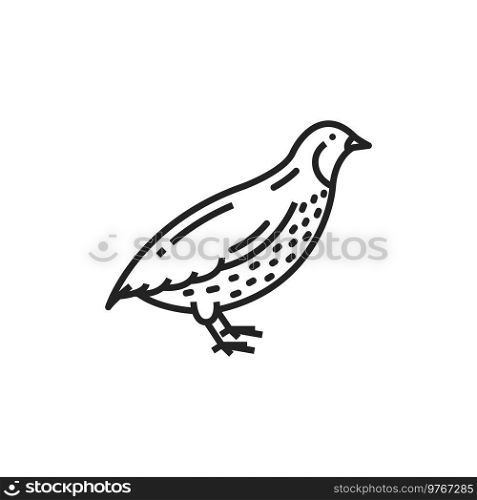 Quail bird isolated monochrome icon. Vector partridge farm animal, poultry and hunting. Partridge quail bird isolated rural poultry icon