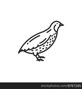 Quail bird isolated monochrome icon. Vector partridge farm animal, poultry and hunting. Partridge quail bird isolated rural poultry icon