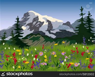 Quality seasonal landscape wallpaper summer meadow with mountain range icy peaks background print picturesque abstract vector illustration. Landscape summer alpine medow poster