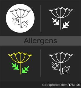 Queen Annes lace dark theme icon. Blooming wildflower. Wild carrot flower. Pollen allergen. Allergy for plant. Linear white, simple glyph and RGB color styles. Isolated vector illustrations. Queen Annes lace dark theme icon