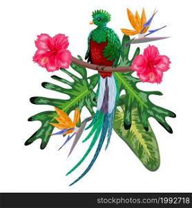 Quetzal sitting on a branch. Quetzal illustration. Hand drawn quetzal bird. Hand drawn quetzal bird. Colorful illustration. Quetzal sitting on a branch.