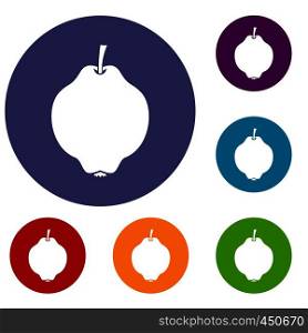 Quince fruit icons set in flat circle reb, blue and green color for web. Quince fruit icons set