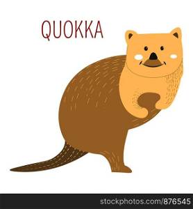 Quokka animal from Australia for childish book. Wild mammal as cartoon character in encyclopedia for kids. Rare species that stands on hind legs similar to wallaby or kangaroo vector illustration.. Quokka animal from Australia for childish books