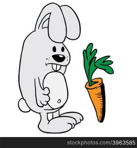 rabbit and carrot cartoon illustration
