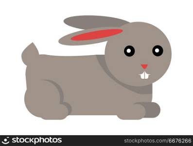 Rabbit Cartoon Isolated on White. Vector. Rabbit cartoon isolated on white. European rabbit, cottontail rabbit, Amami rabbit. Pika and hare. Male is called buck and female is doe, a young rabbit is kitten or kit. Sticker for children. Vector