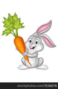 Rabbit with carrot isolated on white background