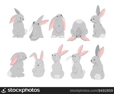 Rabbits character set. Symbol of 2023. Year of the rabbit. Cute hare isolated on white background.Vector illustration.. Rabbits character set. Symbol of 2023. Year of the rabbit. Cute hare isolated on white background.Vector illustration