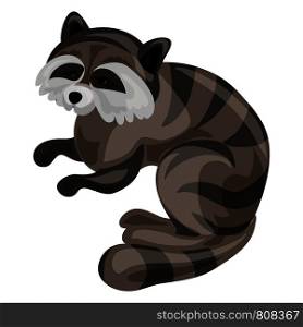 Raccoon icon. Cartoon of raccoon vector icon for web design isolated on white background. Raccoon icon, cartoon style