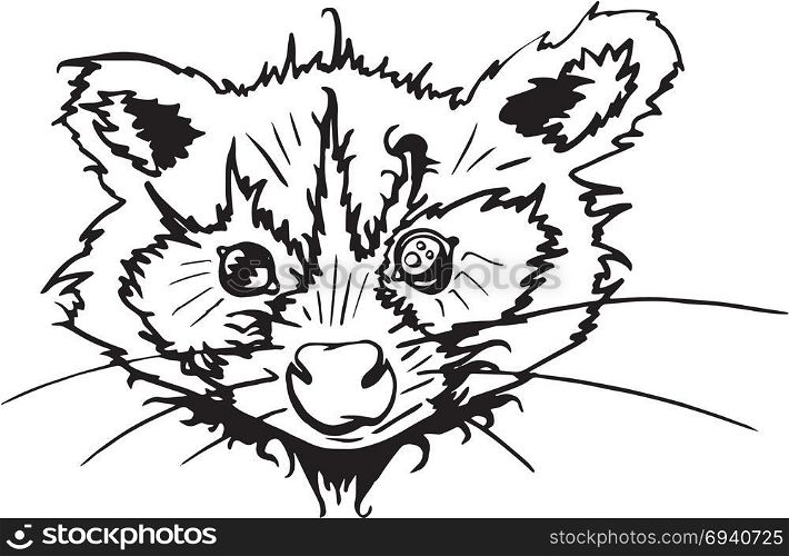 Raccoon isolated. Cute cartoon animal. Funny character. Vector. Black and white. Coloring book pages for adult, kids. Illustration. Raccoon isolated. Cute cartoon animal. Funny character. Vector. Black and white. Coloring book pages for adult, kids. Illustration, gift greeting card, branding, logo label emblem