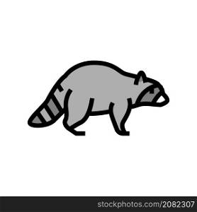 raccoon wild animal color icon vector. raccoon wild animal sign. isolated symbol illustration. raccoon wild animal color icon vector illustration