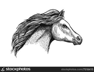 Racehorse mare head sketch with flowing curly mane. Horse racing badge or equestrian eventing symbol design. Racehorse mare head for horse racing design