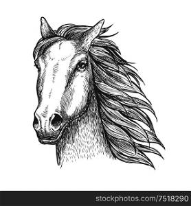 Racehorse stallion sketch of purebred horse head with flying mane on the wind. Equestrian sport theme or horse racing design. Racehorse stallion sketch for horse racing theme