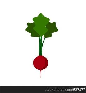 Radish red top view vector icon. Natural vegetarian symbol agriculture flat vegetables ingredient. Food farm garden