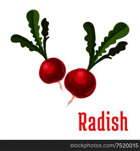 Radish vegetable plant icon. Bunch of garden radishes with leaves. Fresh food product element for sticker, grocery shop, farm store element. Radish tuber vegetable plant icon