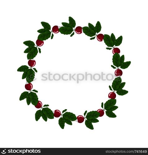 Radish wreath. Fresh vegetables. Organic food. Vector illustration on white background.