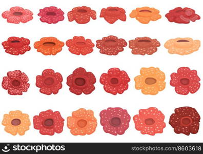 Rafflesia icons set cartoon vector. Flower bloom. Asian beauty. Rafflesia icons set cartoon vector. Flower bloom
