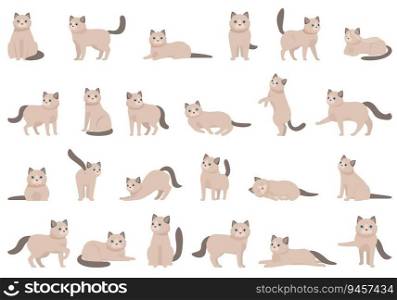 Ragdoll icons set cartoon vector. Nature animal. Cat breed. Ragdoll icons set cartoon vector. Nature animal