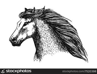 Raging gray horse free running. Vector sketch portrait of beautiful mare on sport races with noble look and thick wavy mane. Raging gray horse free running vector portrait
