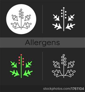 Ragweed pollen dark theme icon. Blooming ambrosia. Cause of allergic reaction. Seasonal allergen. Allergy for plant. Linear white, simple glyph and RGB color styles. Isolated vector illustrations. Ragweed pollen dark theme icon