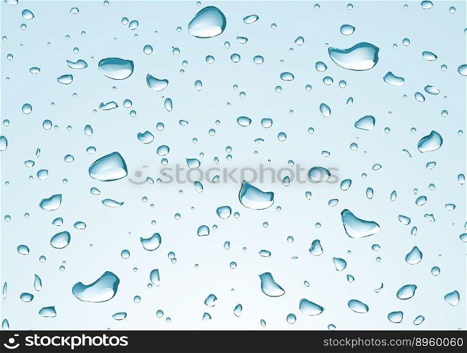 Rain drops vector image