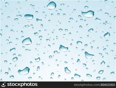Rain drops vector image