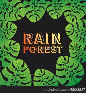 Rain forest vector image