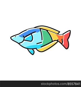 rainbowfish aquarium fish color icon vector. rainbowfish aquarium fish sign. isolated symbol illustration. rainbowfish aquarium fish color icon vector illustration