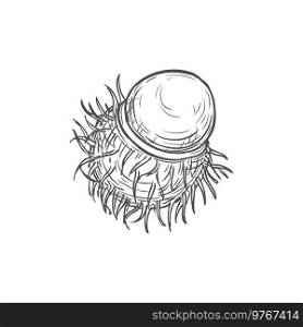 Rambutan half peeled tropical fruit isolated hand drawn sketch. Vector monochrome icon of lychee or mamoncillo, longan or pulasan. Exotic fruit dessert, healthy snack, Thai berry in black and white. Peeled rambutan tropical fruit isolated food snack