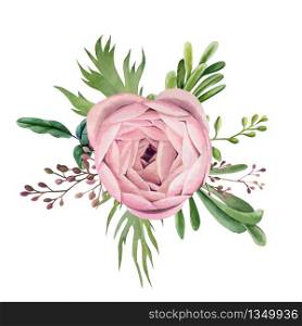 Ranunculus and leaves, Watercolor floral arrangement, hand drawn vector watercolor illustration. Design element for cards and invitation.