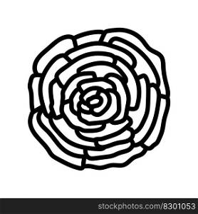 ranunculus flower spring line icon vector. ranunculus flower spring sign. isolated contour symbol black illustration. ranunculus flower spring line icon vector illustration