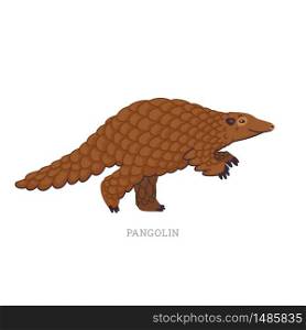 Rare animals collection. Pangolin or scaly anteaters. Unique mammals covered with scales. Flat style vector illustration isolated on white background. Rare animals collection. Pangolin or scaly anteaters. Unique mammals covered with scales. Flat style vector illustration isolated on white background.