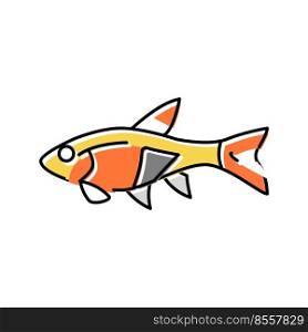 rasbora fish color icon vector. rasbora fish sign. isolated symbol illustration. rasbora fish color icon vector illustration
