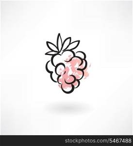 raspberries grunge icon