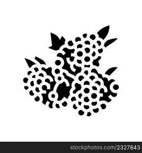 raspberry berry glyph icon vector. raspberry berry sign. isolated contour symbol black illustration. raspberry berry glyph icon vector illustration