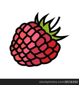 raspberry berry leaf color icon vector. raspberry berry leaf sign. isolated symbol illustration. raspberry berry leaf color icon vector illustration