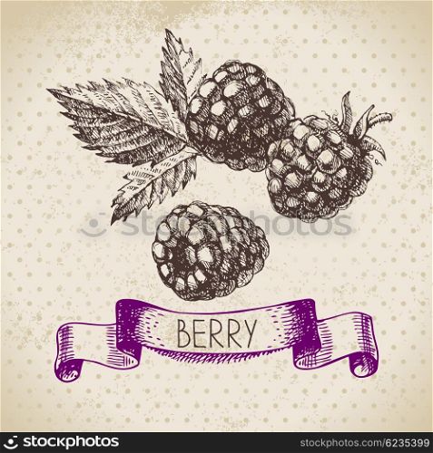 Raspberry. Blackberry. Hand drawn sketch berry vintage background. Vector illustration of eco food
