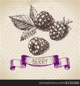 Raspberry. Blackberry. Hand drawn sketch berry vintage background. Vector illustration of eco food