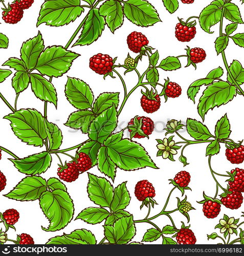 raspberry branch vector pattern on white backgrond. aspberry branch vector pattern