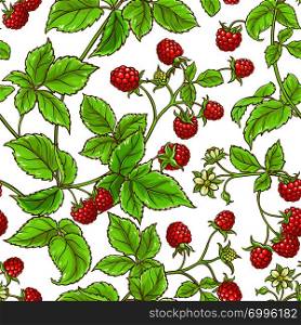 raspberry branch vector pattern on white backgrond. aspberry branch vector pattern