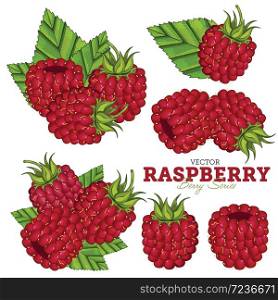 Raspberry Compositions, Raspberry Leaves, Raspberry Vector, Cartoon illustration of Raspberry. Raspberry Isolated on White Background. Bunch of Juicy Raspberry Berries.. Raspberry Set, Vector.