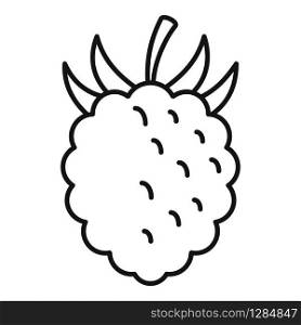 Raspberry fazz icon. Outline raspberry fazz vector icon for web design isolated on white background. Raspberry fazz icon, outline style