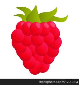 Raspberry food icon. Cartoon of raspberry food vector icon for web design isolated on white background. Raspberry food icon, cartoon style