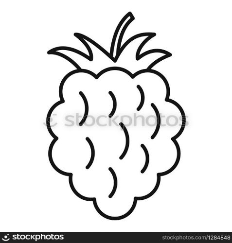 Raspberry food icon. Outline raspberry food vector icon for web design isolated on white background. Raspberry food icon, outline style