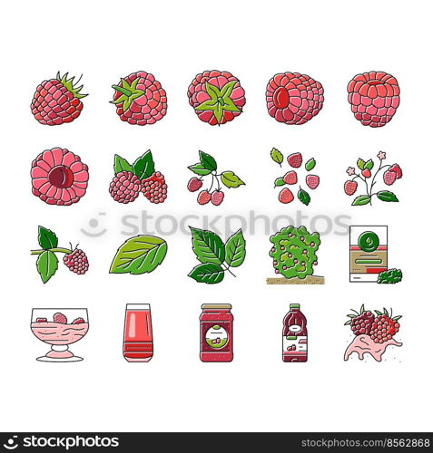 raspberry fruit berry red food icons set vector. plant leaf, sweet fresh dessert, juice branch, single delicious garden nature jam raspberry fruit berry red food color line illustrations. raspberry fruit berry red food icons set vector