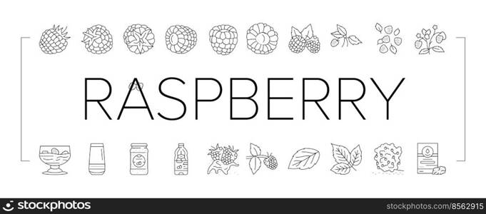 raspberry fruit berry red food icons set vector. plant leaf, sweet fresh dessert, juice branch, single delicious garden nature jam raspberry fruit berry red food black contour illustrations. raspberry fruit berry red food icons set vector