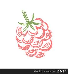 Raspberry fruit. Hand drawn vector illustration. Pen or marker doodle sketch.
