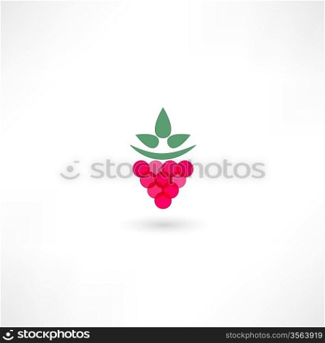 raspberry icon
