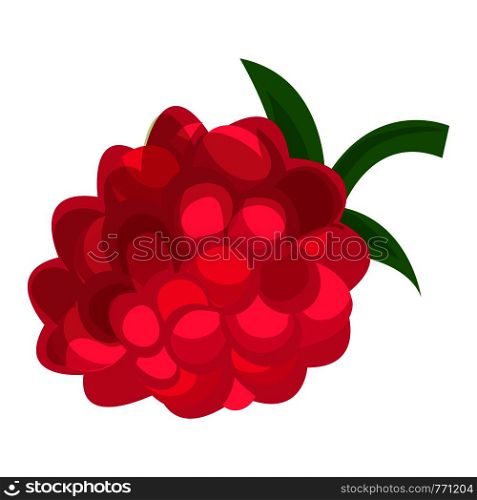 Raspberry icon. Cartoon of raspberry vector icon for web design isolated on white background. Raspberry icon, cartoon style